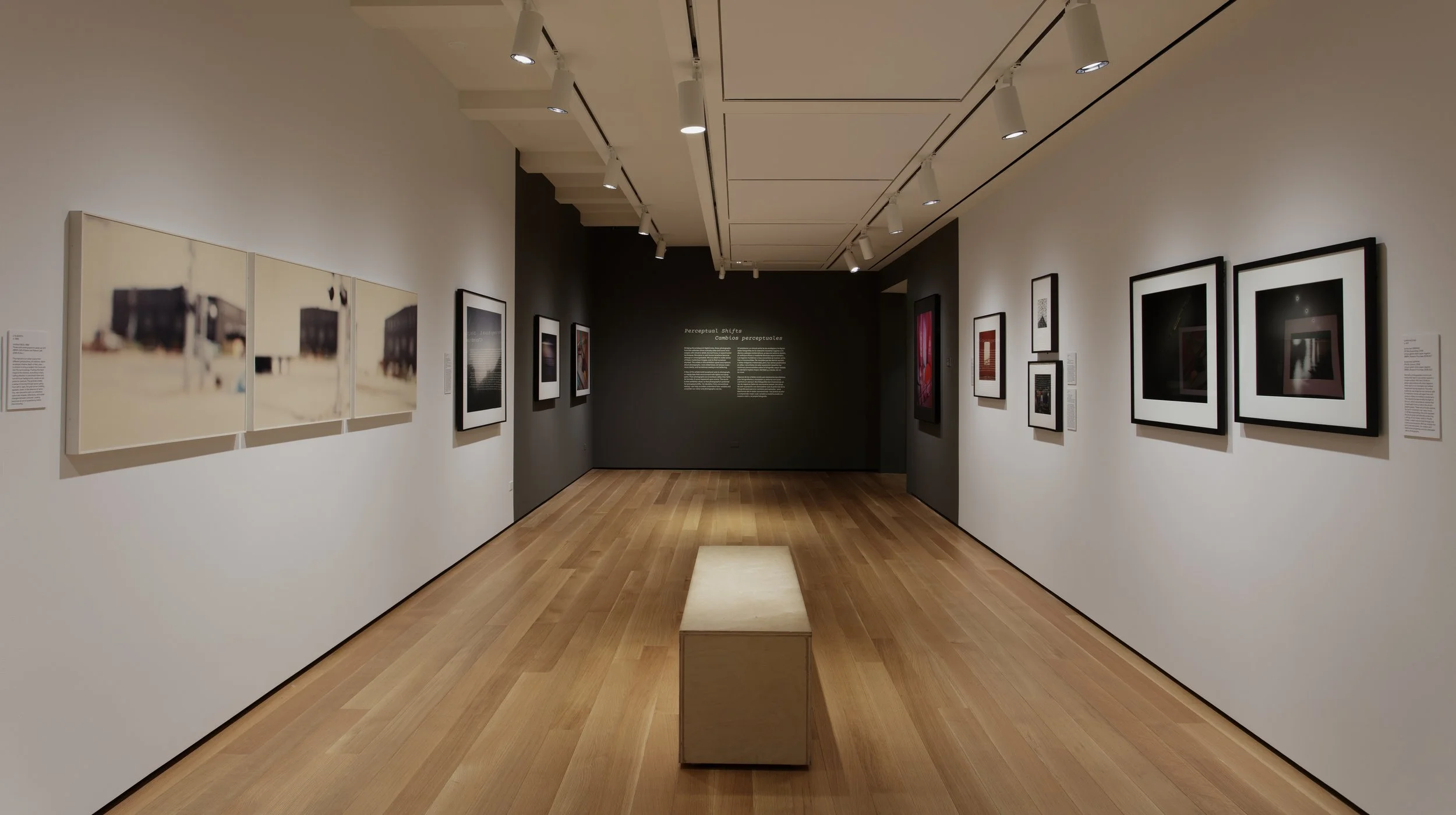 Perceptual Shifts: Photographs from the Collection | Santa Barbara